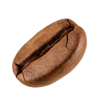 flyong coffee beans, not too many with a transparent background